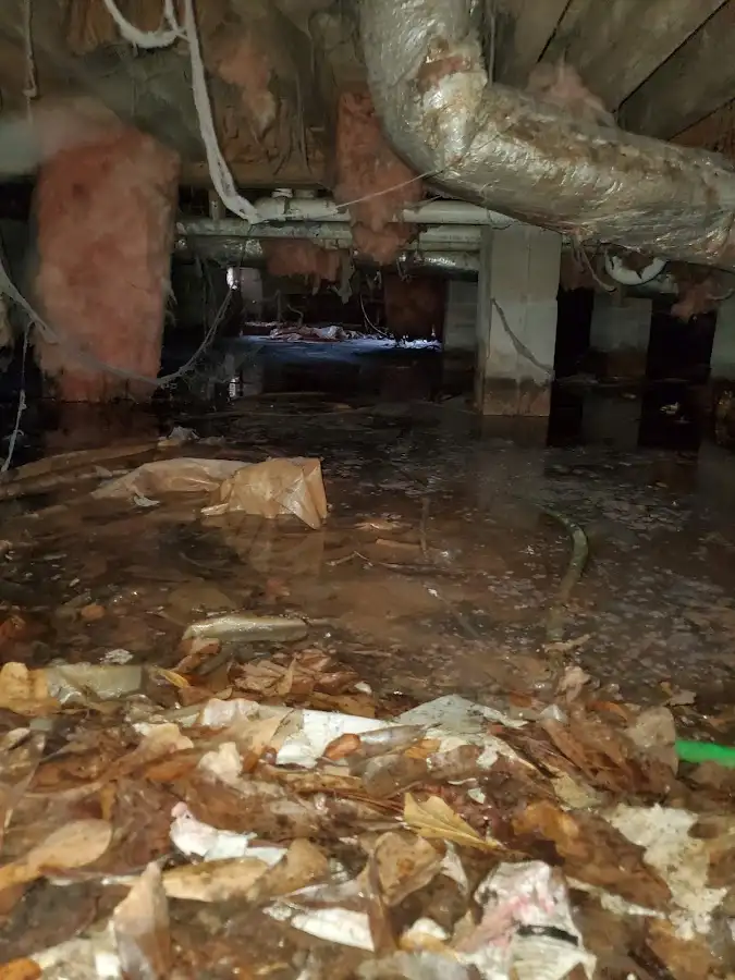 Crawl space flood assessment for Commercial Water Damage Restoration in Ingleside
