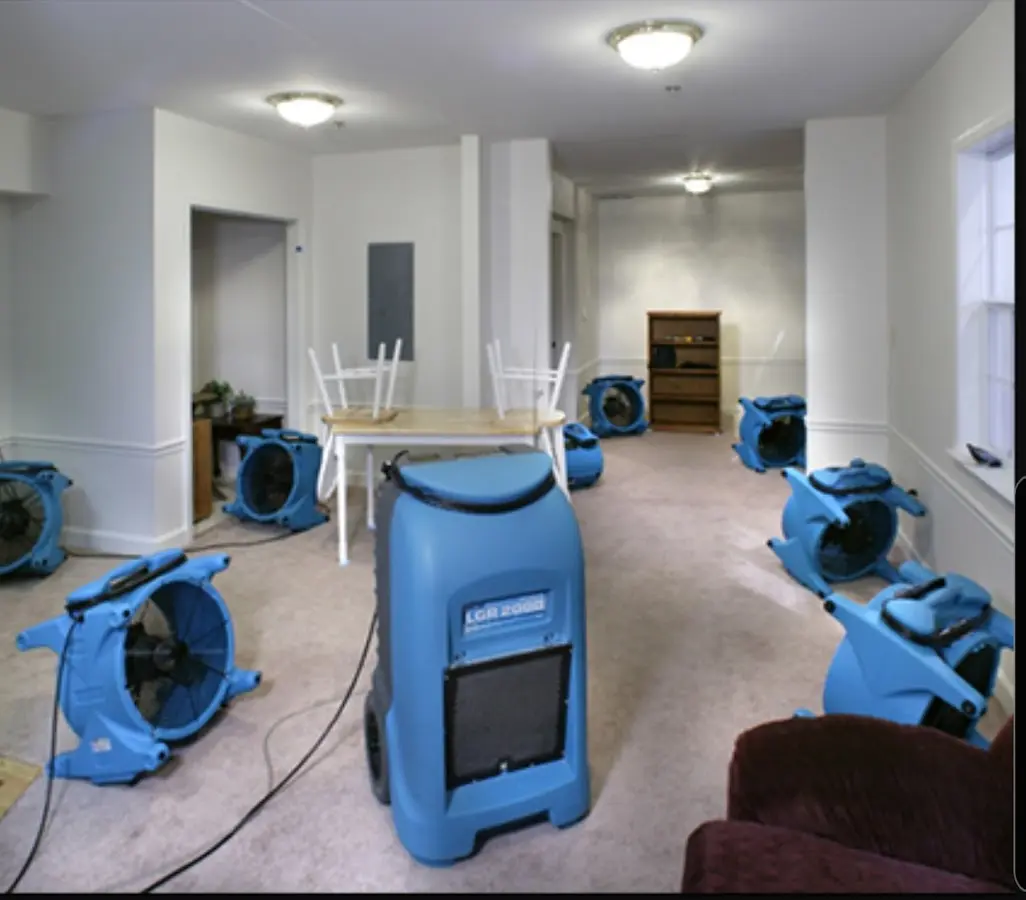 Air movers and dehumidifier setup for Water Extraction & Removal in Ingleside