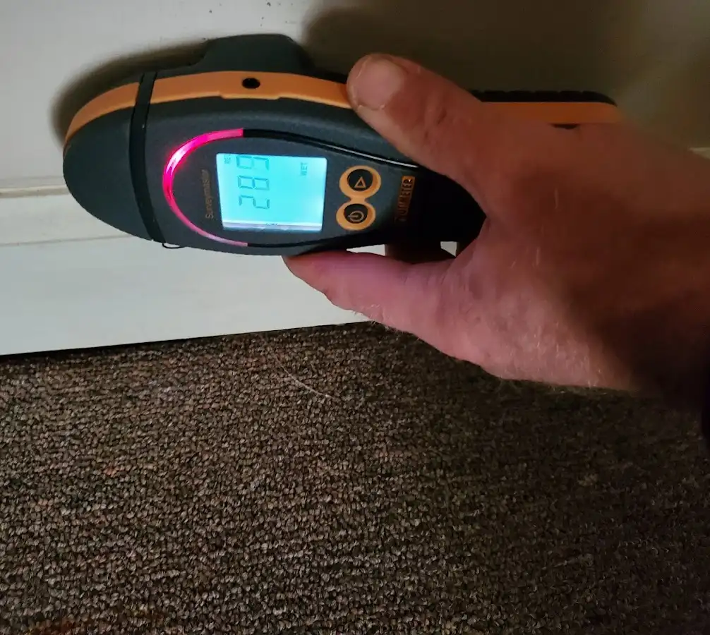 Moisture detection at baseboard during Burst Pipe Cleanup in Ingleside